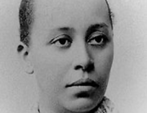 Dr. Halle Tanner Dillon Johnson