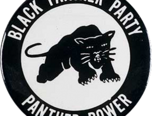 The Black Panther Party